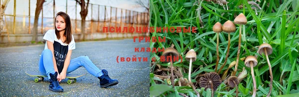 PSILOCYBIN Наволоки