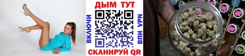 где купить наркоту  Городище  Бошки Шишки семена 
